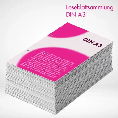 Alternative view of Loseblattsammlung A3 farbig