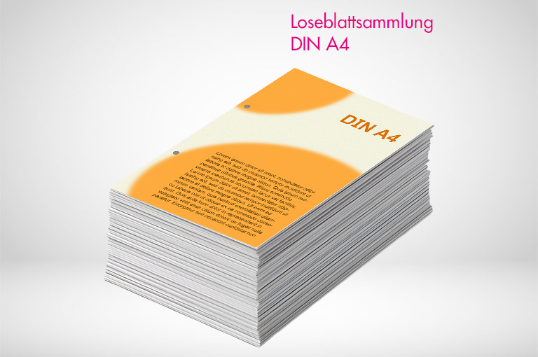 Loseblattsammlung-A4-online-bestellen-printonline24