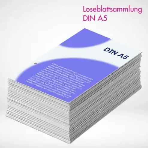 Alternative view of Loseblattsammlung A5 farbig