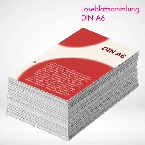 Alternative view of Loseblattsammlung A6 farbig