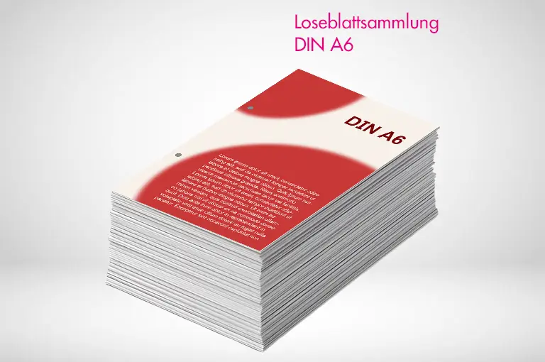 Loseblattsammlung-A6-online-bestellen-printonline24