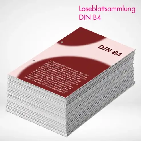 Alternative view of Loseblattsammlung B4 farbig