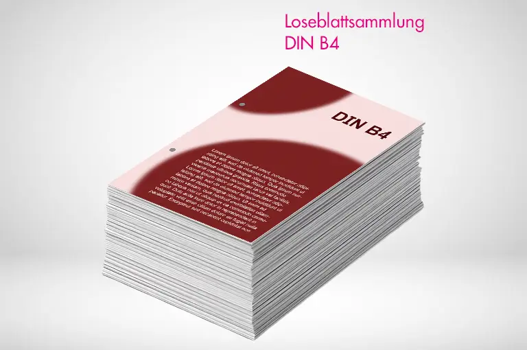 Loseblattsammlung-B4-online-bestellen-printonline24