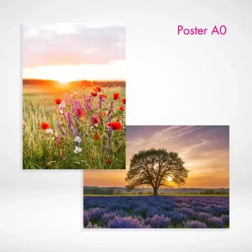 Poster A0 drucken