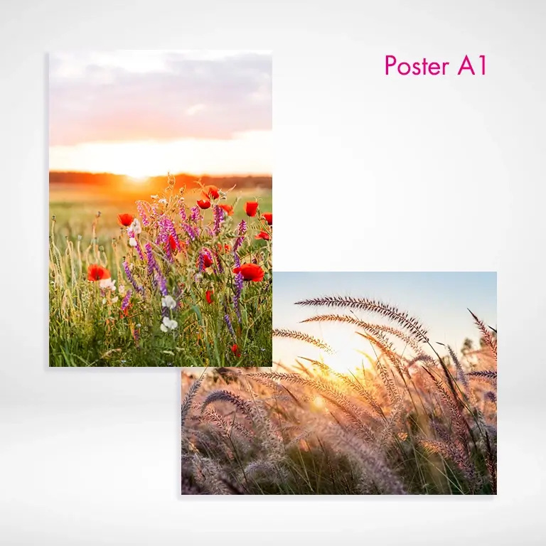 Poster A1 drucken und bestellen in Hoch- oder Querformat. Poster A1 drucken lassen und selbst gestalten bei PrintOnline24.